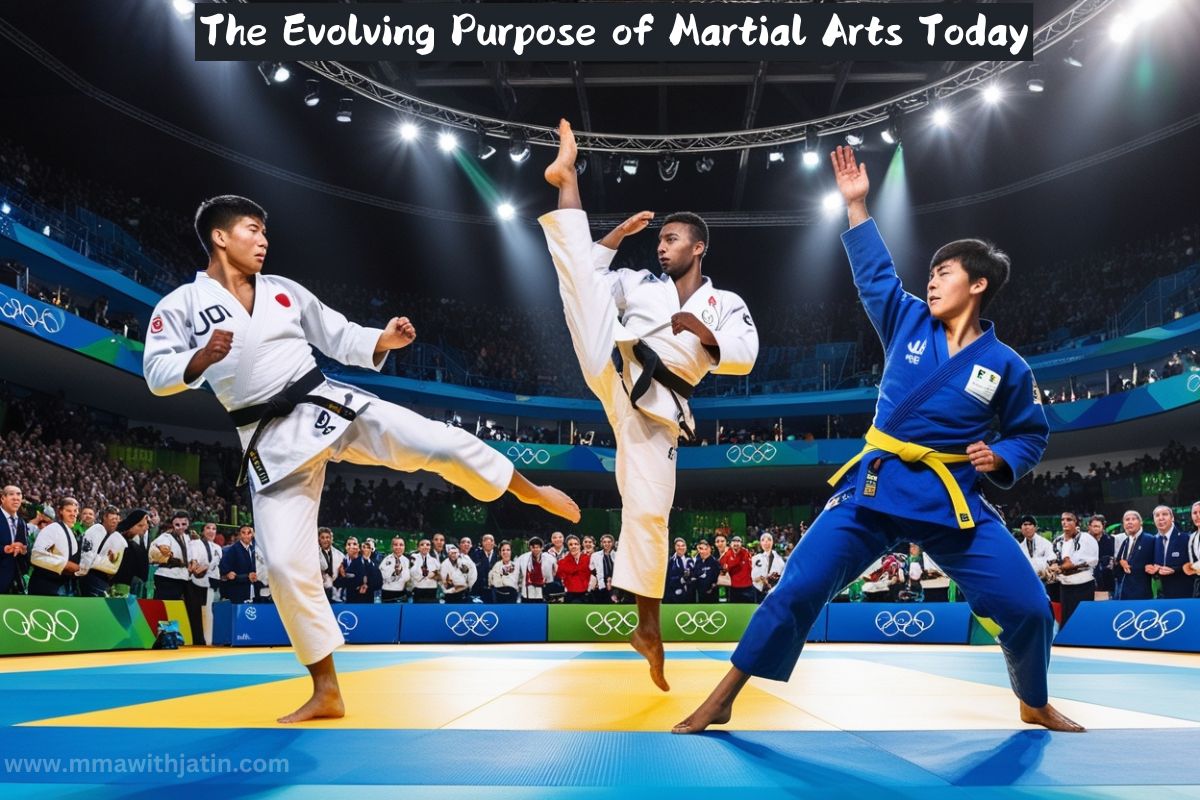 The Evolving Purpose of Martial Arts Today